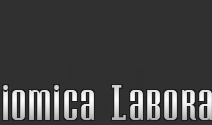 Audiomica Labaratory