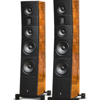 Raidho Acoustics TD 3.8 Walnut Burl - autoryzowany dealer - wyprzedaż ekspozycji sklepu