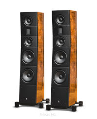 Raidho Acoustics TD 3.8 Walnut Burl - autoryzowany dealer - dostawa gratis