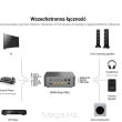Wiim Amp Ultra Silver - wzmacniacz stereo z modułem sieciowym - 20 rat 0% lub rabat - dostawa gratis - 4